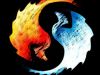 Dragon Duo Fire and Ice