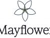 Mayflower Recovery Becomes In-Network Provider for Tufts Health Plan