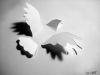 Paper Dove Wings