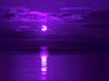 Amethyst Moon
