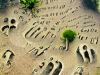 Every Footprint a Grave {old}