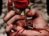Blood Is The Rose (Terza Rima)