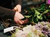 Sydney's Best Florists for Every Occasion: Weddings, Birthdays, and More