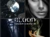 (The Kingdom Chronicles: Book One) Blood