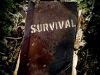 "Survival" 