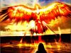 Phoenix Rising