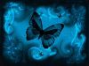 The Beautiful Blue Butterfly