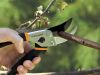 Types of Pruning Shears