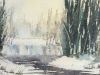   Winter Splendor