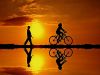 THE SUN AND BEINGS AS ONE