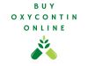 Buy Oxycontin Online Mid-Night services Available