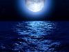 The Ocean's Night Song