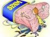 Son Of Spam
