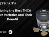 Exploring the Best THCA Flower Varieties and Their Benefits