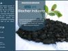 Why is the China Biochar Market Expected to Be Highly Lucrative?