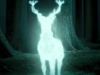 Patronus 