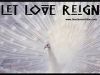 Let Love Reign