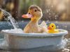 Duck in the bathtub 
