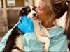 Romania Animal Rescue Launches Three-Day Spayathon to Address the Local Stray Animal Crisis