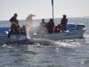 Tips for Successful Whale Watching in Baja