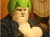 The Helmet Cat Rap