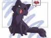 Little black cat: part 2