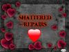 Shattered Repairs