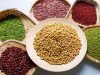 Seed Coating Materials Market Trends, Insights Analysis and Forecast 2025