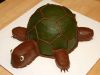 Turtle Corn Cake