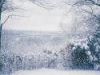 Flurries