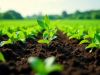 Global Agricultural Inoculants Market: Growth, Trends, and Future Outlook (2025-2034)