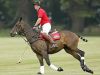 The Benefits of Polo