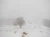 January 25, 2014: The Snow Squall