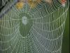 The Lies Of Truth~The Spider's Web