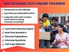 Best Sap S4 Hana Fico Online Training In Hyderbad