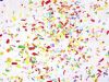 Confetti dreams 