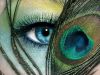 Peacock Eyes
