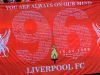 Gone but never forgotten, 96 reasons for justice 