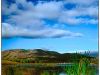 To The People of Gisborne -- An Invitation to Picnic.