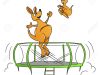 The kangaroo bounce house 