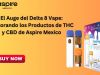 El Auge del Delta 8 Vape: Explorando los Productos de THC y CBD de Aspire Mexico