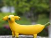 Banana Shaped Dog