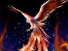 Phoenix Rising