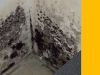 Mold Inspection Fort Lauderdale - For a Safer Home Environment
