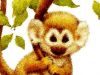 Jungle Monkey