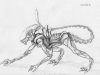 Red Alien: Weyland's Drawing