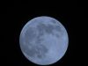 Impression of Blue Moon: FOCAL POINT BLUE MOON. by mjh 2014