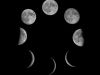 Phases: A Lunar Testimony  