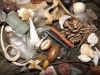 Psychic Healing & Spiritual Cleansing Spells African Native Traditional spiritual healer Call +27722