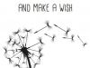 A Wish